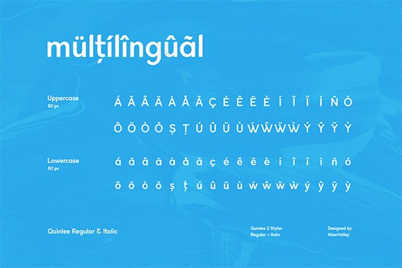 Quinlee Versatile Sans Serif Sans Serif Font Versatile Etsy