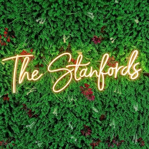 Neon sign custom, neon sign name, neon sign bedroom, wedding neon sign, wedding party, wedding gift sign
