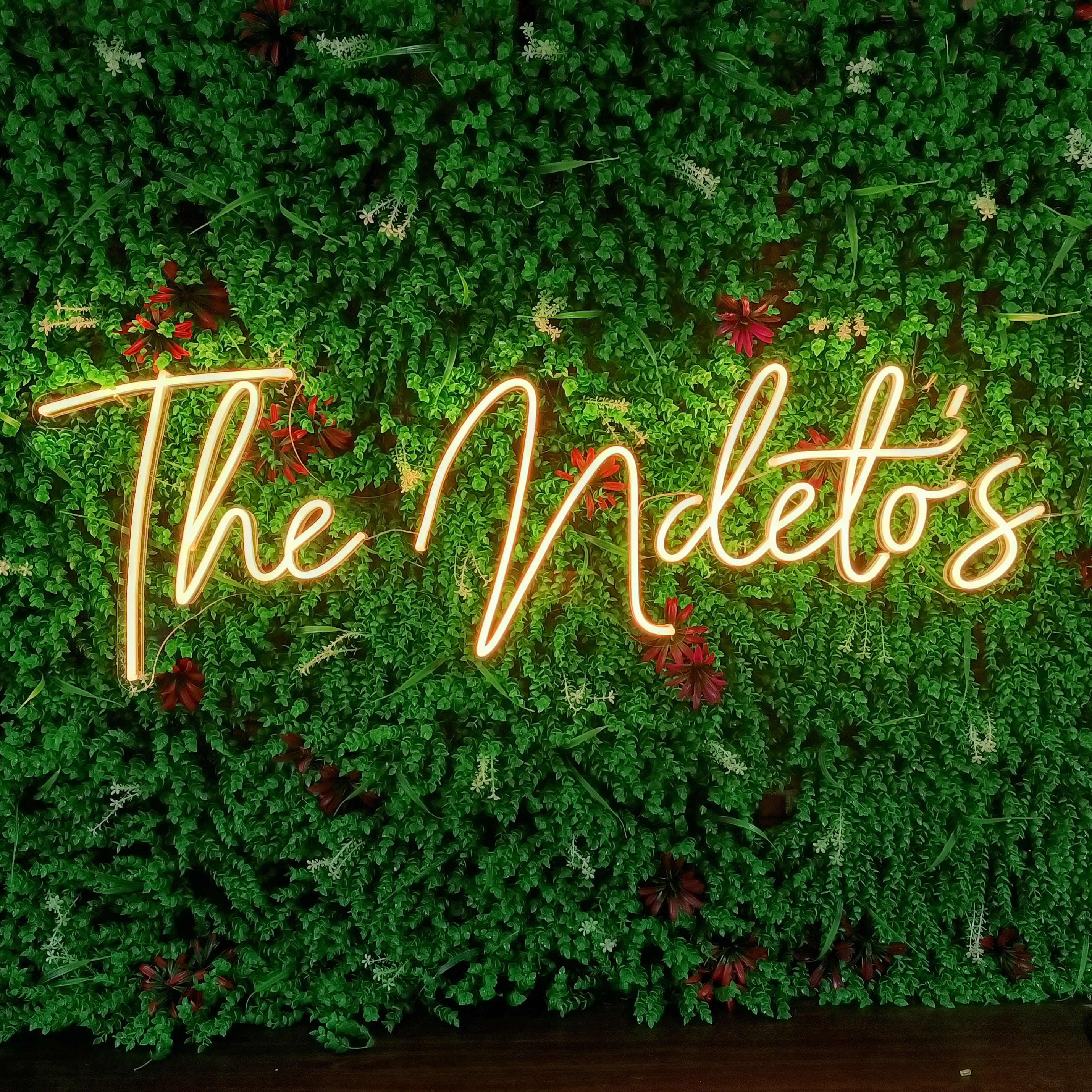 Ivy wall with neon sign online