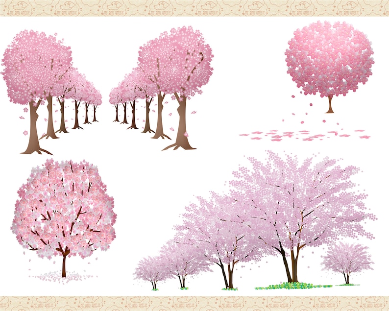 Sakura Japanese Cherry Blossom Tree Clip Art, Springtime Trees, Pink Blossom Trees, Tree Grove ClipArt, Commercial OK image 3