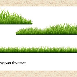 May include: Three different types of green grass borders, with the text "Various Grasses" below.