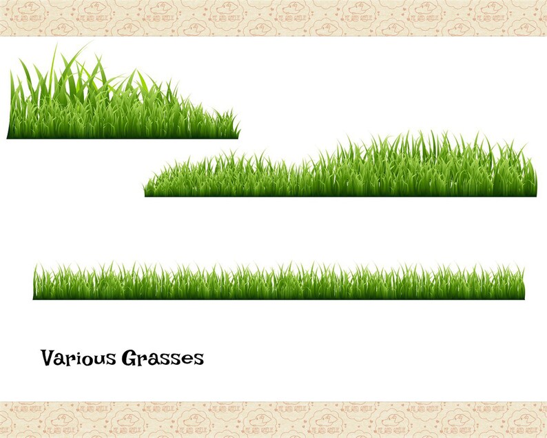 May include: Three different types of green grass borders, with the text "Various Grasses" below.