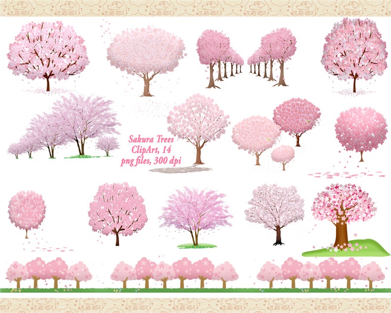 Sakura Japanese Cherry Blossom Tree Clip Art, Springtime Trees, Pink Blossom Trees, Tree Grove ClipArt, Commercial OK image 1