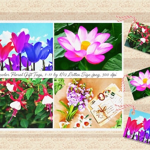 VENTA 99 CENTAVOS, Hoja de collage de etiquetas de regalo con motivos florales de acuarela, Elaboración de tarjetas de regalo, Fucsias, Flor de loto, Café francés, Comercial OK