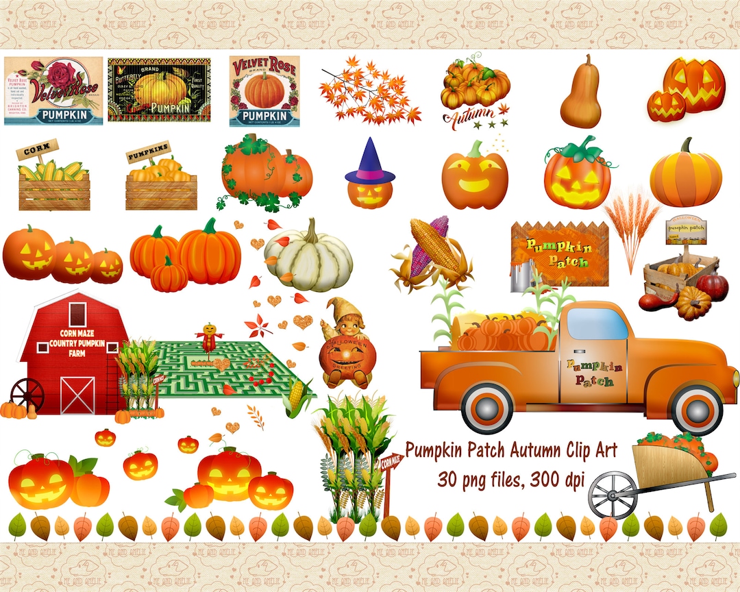 Pumpkin Patch Clip Art, Autumn Leaves, Corn Stalks (PNG Files) - Etsy