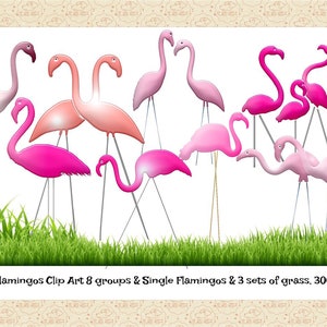 May include: Clip art of pink lawn flamingos in various poses. The flamingos are grouped together and some are standing alone. There are three sets of green grass at the bottom of the image. The text "Lawn Flamingos Clip Art 8 groups & Single Flamingos & 3 sets of grass. 300 dpi" is at the bottom of the image.