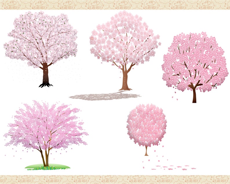 Sakura Japanese Cherry Blossom Tree Clip Art, Springtime Trees, Pink Blossom Trees, Tree Grove ClipArt, Commercial OK image 4