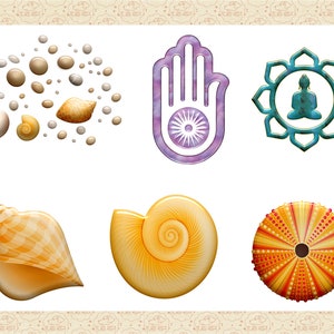May include: A set of six colorful illustrations featuring a hand with an eye in the palm, a mandala with a meditating figure, a seashell, a spiral seashell, a sea urchin, and a cluster of seashells and pearls.