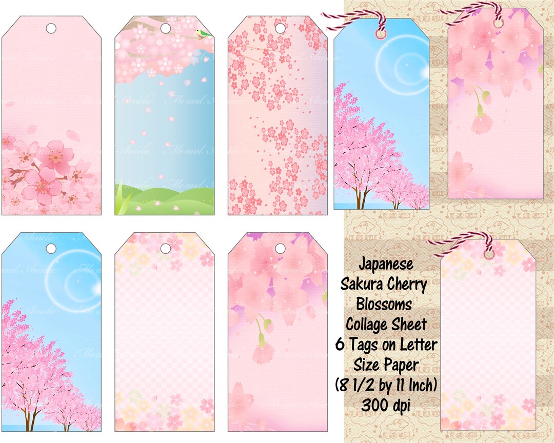 果物 handmade SAKURA Artisanal Japanese Candy - Handmade Sakura Candy | Bokksu