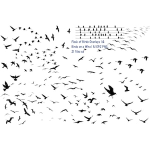 Flock of Birds Overlay Silhouettes AI EPS (Vector) & PNG, Bird Silhouettes, Flying Birds, Birds on a Wire