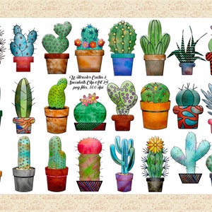 VENTA 99 CENTAVOS ClipArt de cactus de acuarela, cactus coloridos, cactus en macetas, cactus texturizados, gráficos de tienda de plantas de acuarela, comercial 0K