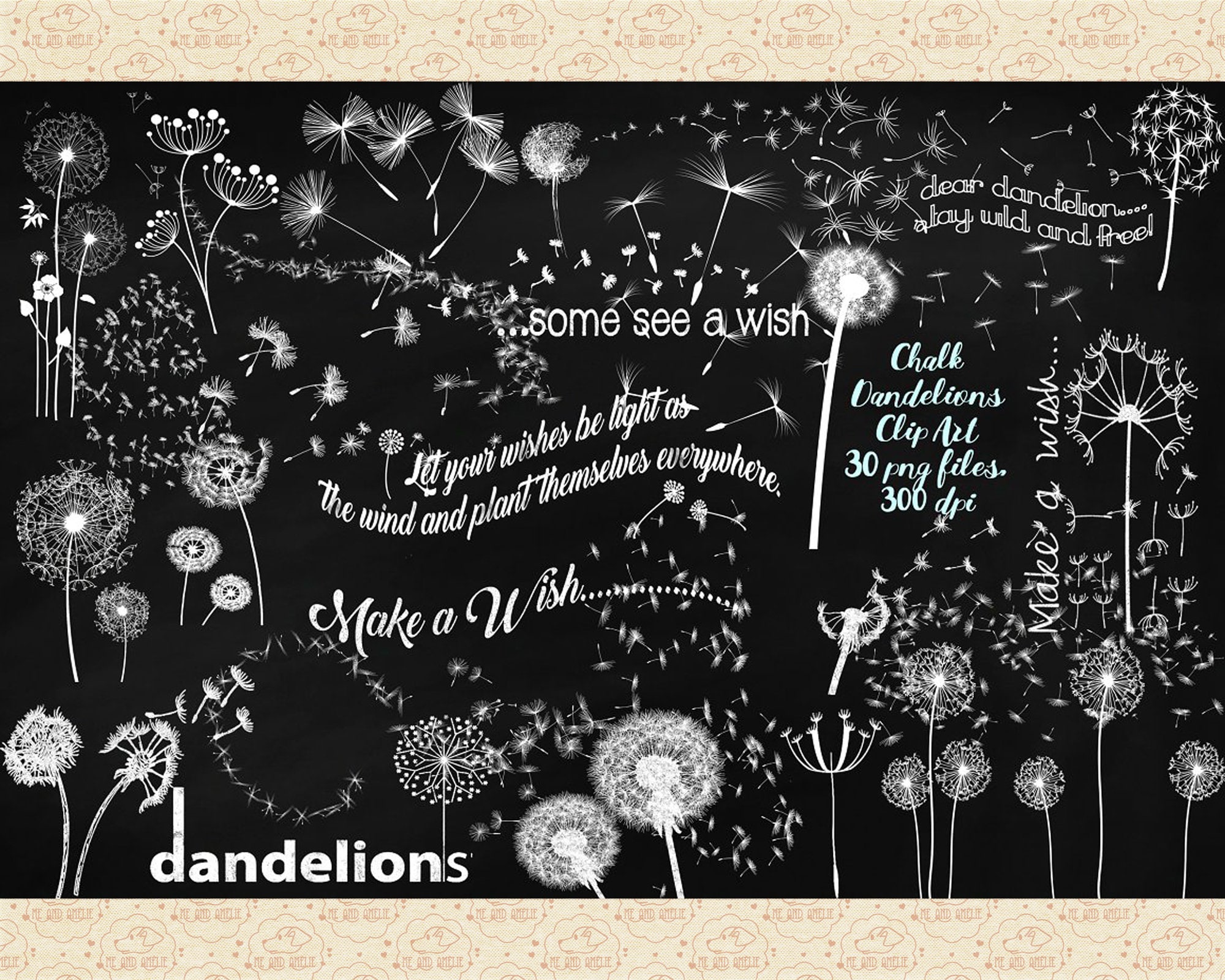 Chalk Dandelion Clip Art, Flying Seeds Overlays (PNG Files) - Etsy