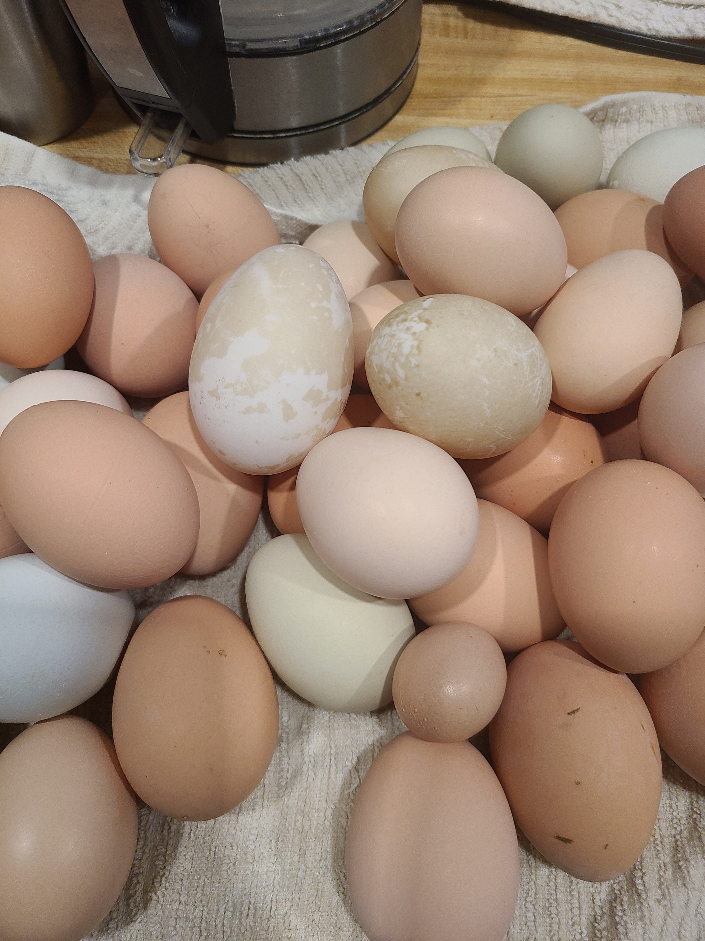 Farm fresh duck and chicken eggs Etsy