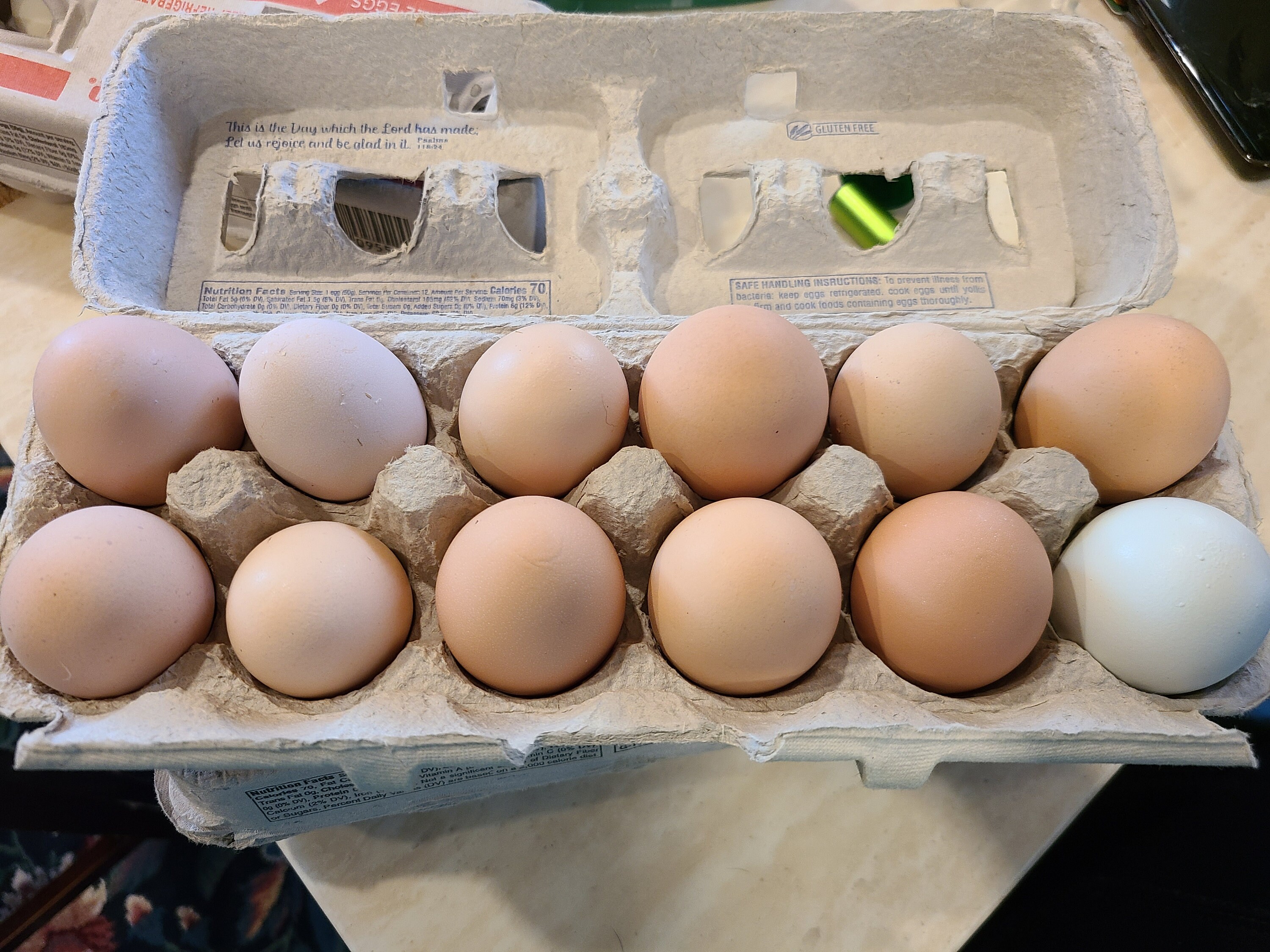 Farm fresh duck and chicken eggs Etsy