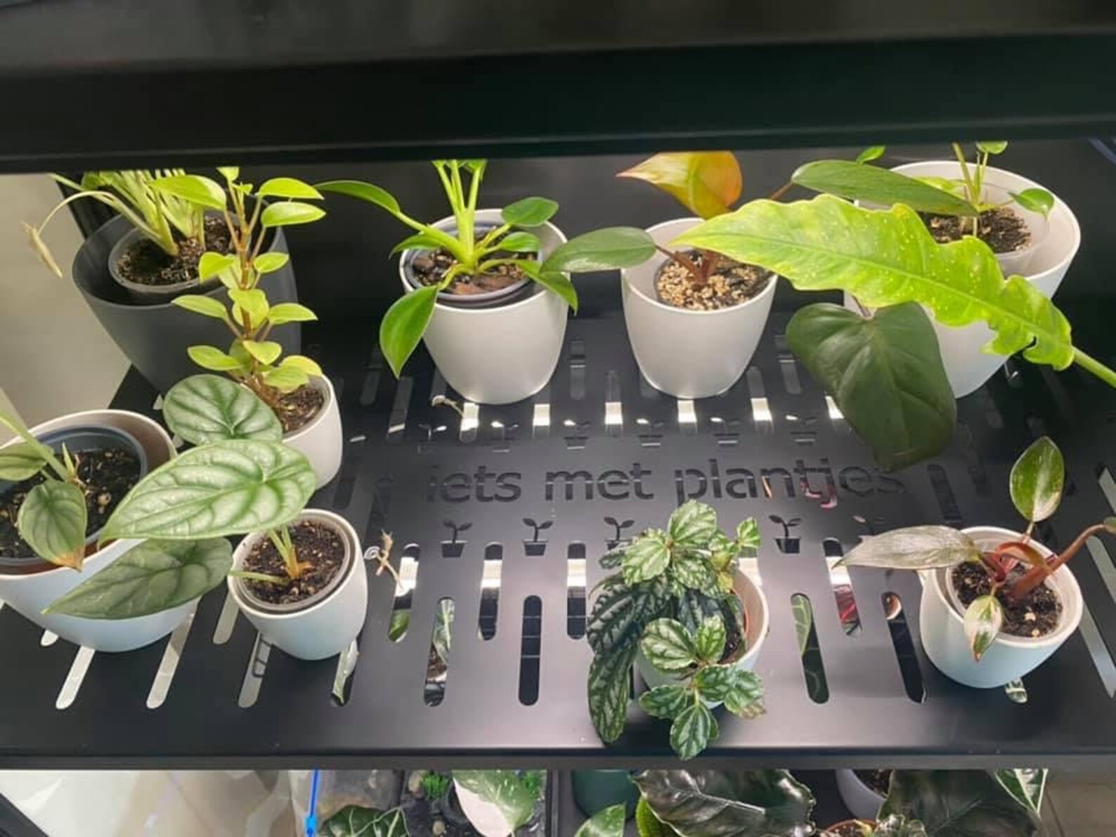 IKEA Rudsta wide rack Etsy