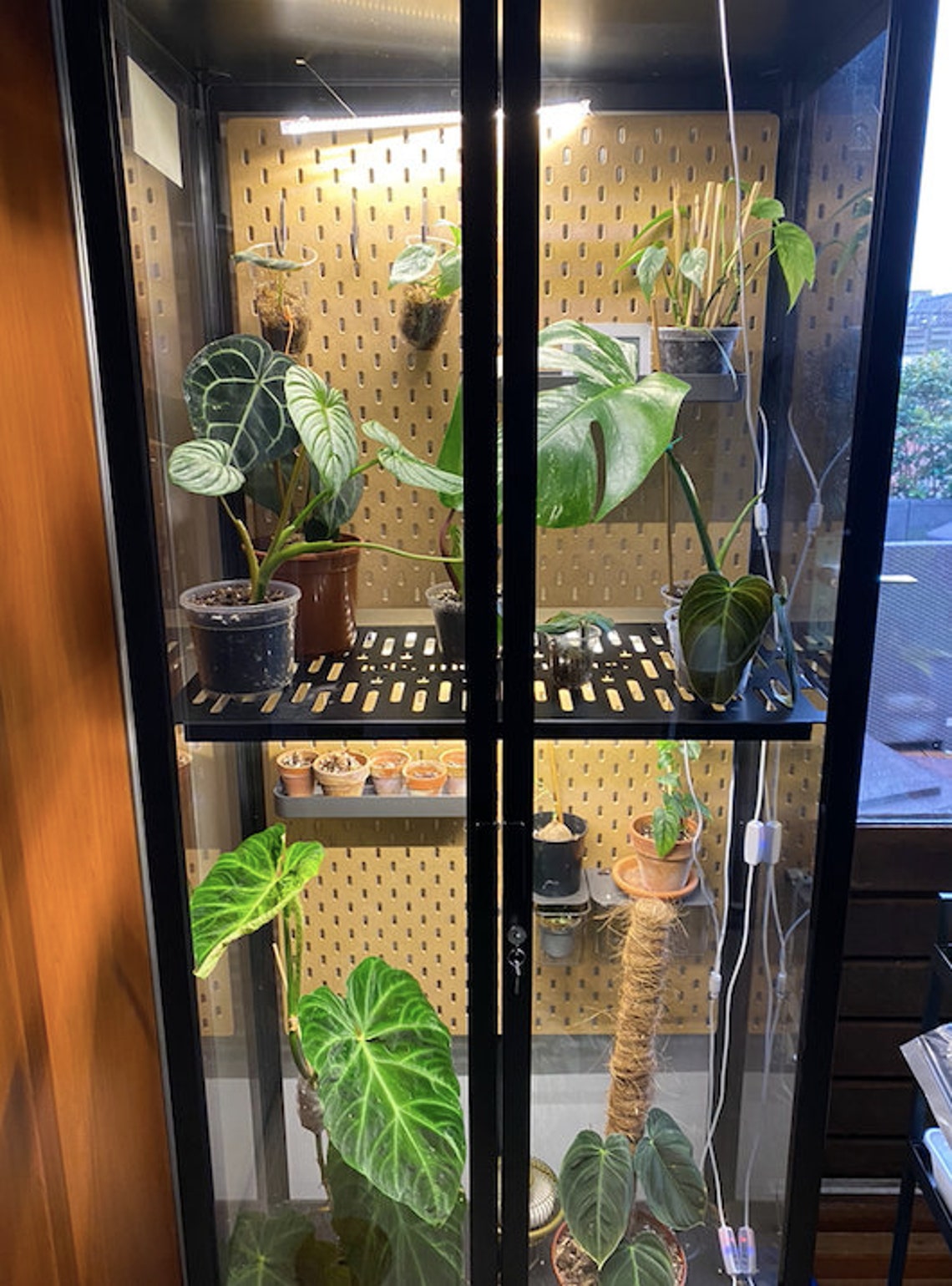 IKEA Milsbo Tall Shelf Etsy New Zealand