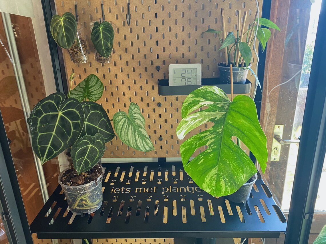 IKEA Milsbo Tall Shelf Etsy