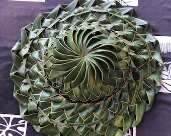 Coconut Hat Made in Hawai’i - CLOSED TOP