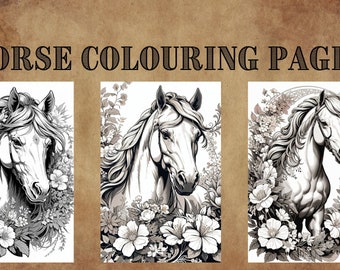 38 Epic Horse Colouring Designs
