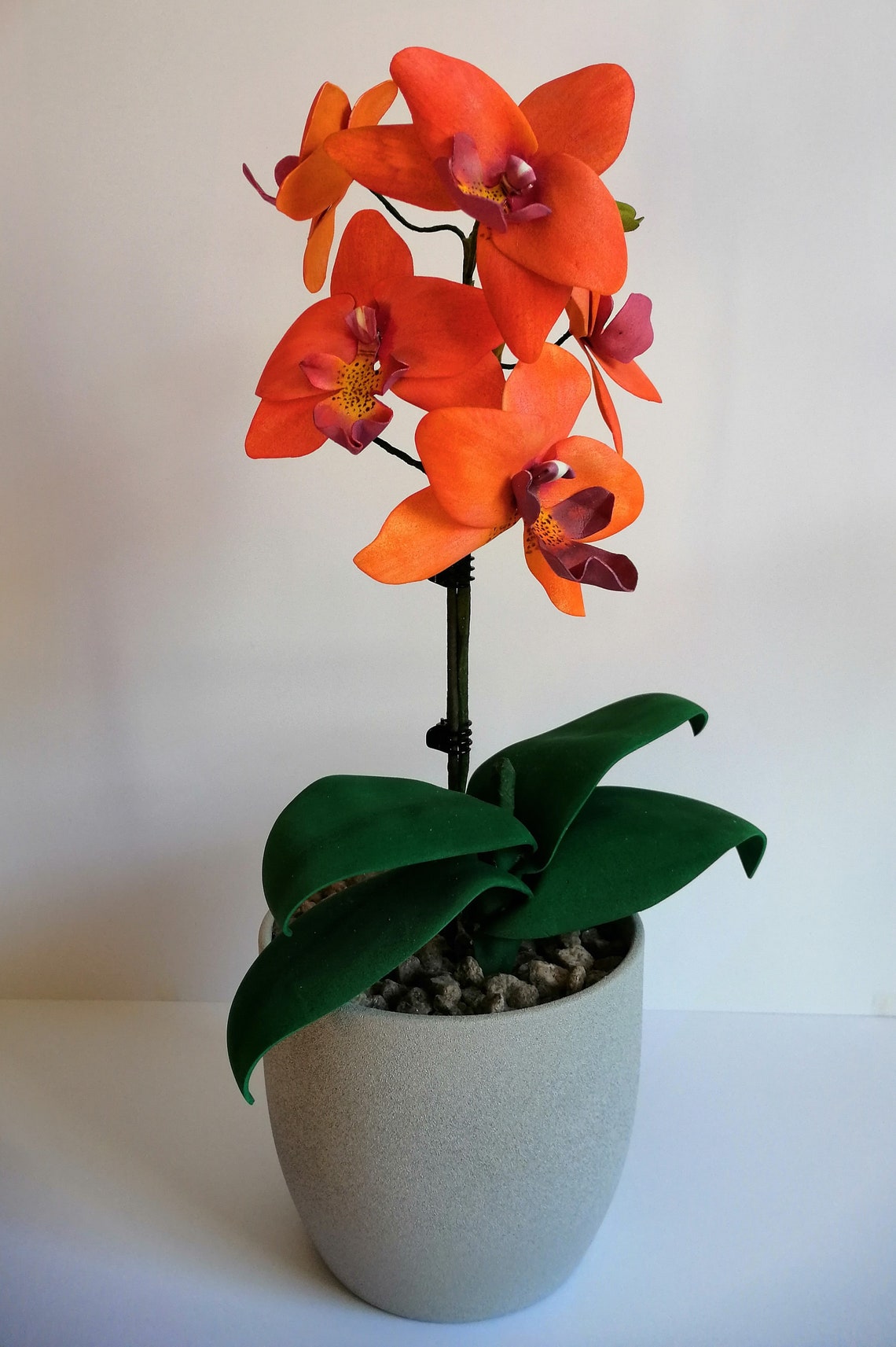 Orchids Templates PDF Foam Flower eva rubber Etsy España