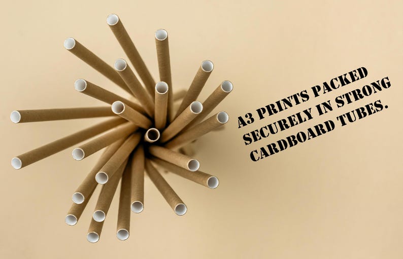 May include: An overhead shot of a bundle of brown paper straws with white interiors. The straws are arranged in a circular pattern. Text on the right reads: "A3 PRINTS PACKED SECURELY IN STRONG CARDBOARD TUBES."