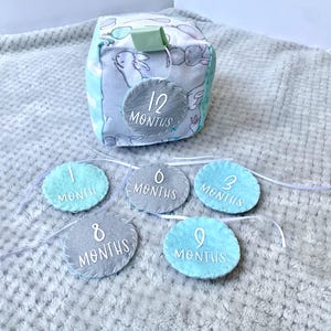 Bloque de tela gris y menta con hitos mensuales para fotos de bebés, kit de accesorios fotográficos personalizados en tonos neutros, accesorio fotográfico de hitos de bebé de tela con forma de conejito gris