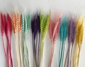 Coloured Dried Bearded Wheat | 5 stems | 30cm | Teal | Bright Green | Yellow | Purple | Mint Green | Pink | Red | Orange | Lilac | Cake  UK