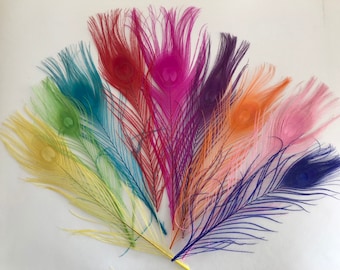 Coloured Peacock Feather 25-30cm | 10-12"| UK | Cake Topper | Gift | Craft | Wedding| Bridal | Floral Arranging | Home | Display