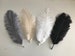 Coloured Ostrich Feather 25-30cm | 10-12' | Black | Grey | White | Champagne | Navy | Cake Topper | Craft | Floral Arranging | Home Display 