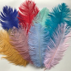 Peut inclure: Assortiment de plumes d'autruche de différentes couleurs, notamment jaune, rose, bleu, rouge et sarcelle. Les plumes sont disposées en éventail, les pointes des plumes étant dirigées vers l'extérieur.