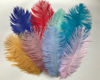 Medium Coloured Real Ostrich Feather (25-30cm): Cake Topper, Wedding, Craft