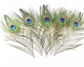 1 x Real Peacock Eye Feather (25-30cm) Natural Wedding & Craft Supply