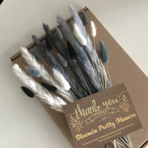 Dream Grey Pampas Contemporary Collection | Grey,  Black & White Pampas |  Letterbox Friendly 30cm | Dried Flower | Gift | Interior Decor |