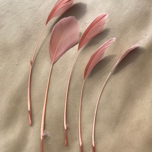 May include: Six pink feathers with white tips, arranged in a fan shape on a light brown surface.