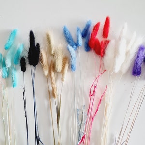Può includere: Una collezione di steli di erba della pampa secca in vari colori, tra cui rosa, blu, nero, beige, bianco, rosso e viola. Gli steli sono disposti in fila su uno sfondo bianco.