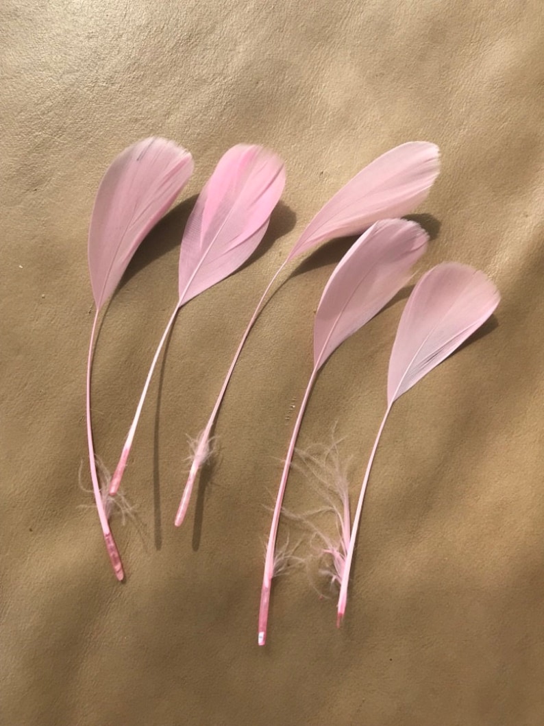 May include: Five pink feathers with white tips arranged on a brown surface.