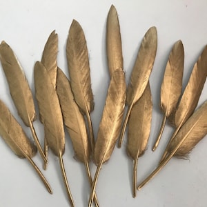 Gold Goose Feather: Small Craft Feather for Cake Topper or Display (10-15 cm)