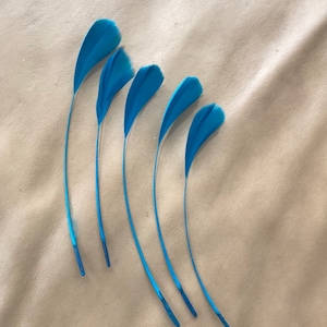 May include: Five long, thin, blue feathers arranged in a curved line on a light brown surface.