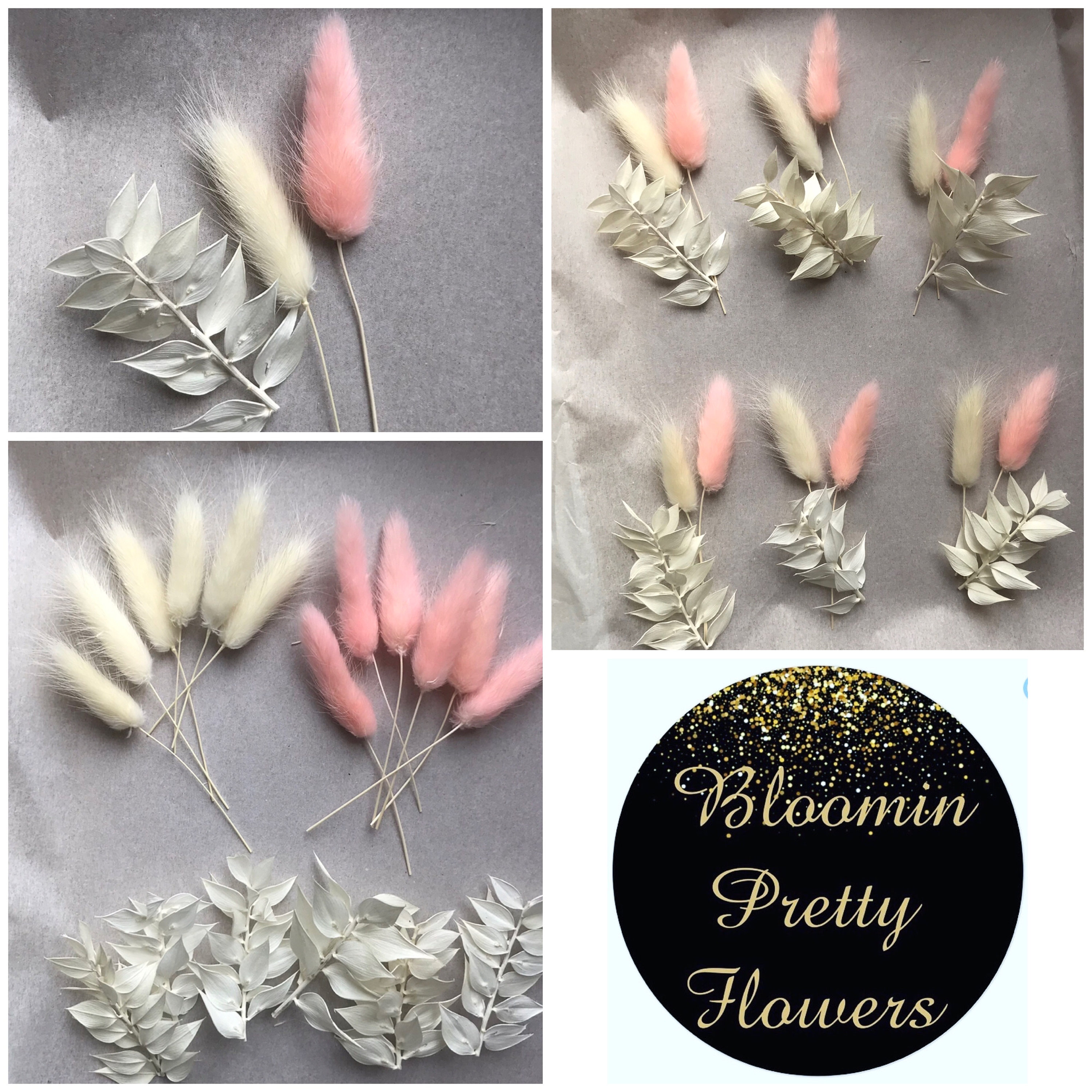 Bmeigo Natural Dried Flowers For Crafts Cakes, 5 Types Boho White Real Dried Flowers Leaves Set Palm Bunny Tail Million Star Everlasting Small Bouquet For Floral Decorations DIY Home Wedding Gifts