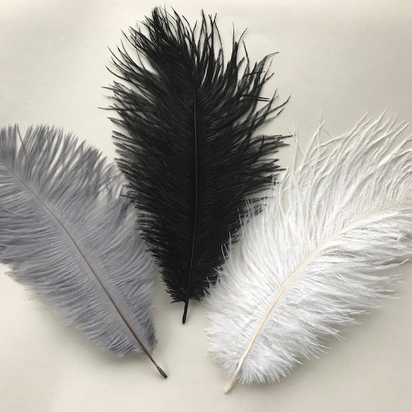 Véritable plume d'autruche colorée 25-30 cm | 10-12" | Noir | Gris | Blanc | Bleu marine | Décoration de gâteau | Artisanat | Arrangement floral | Présentoir pour la maison