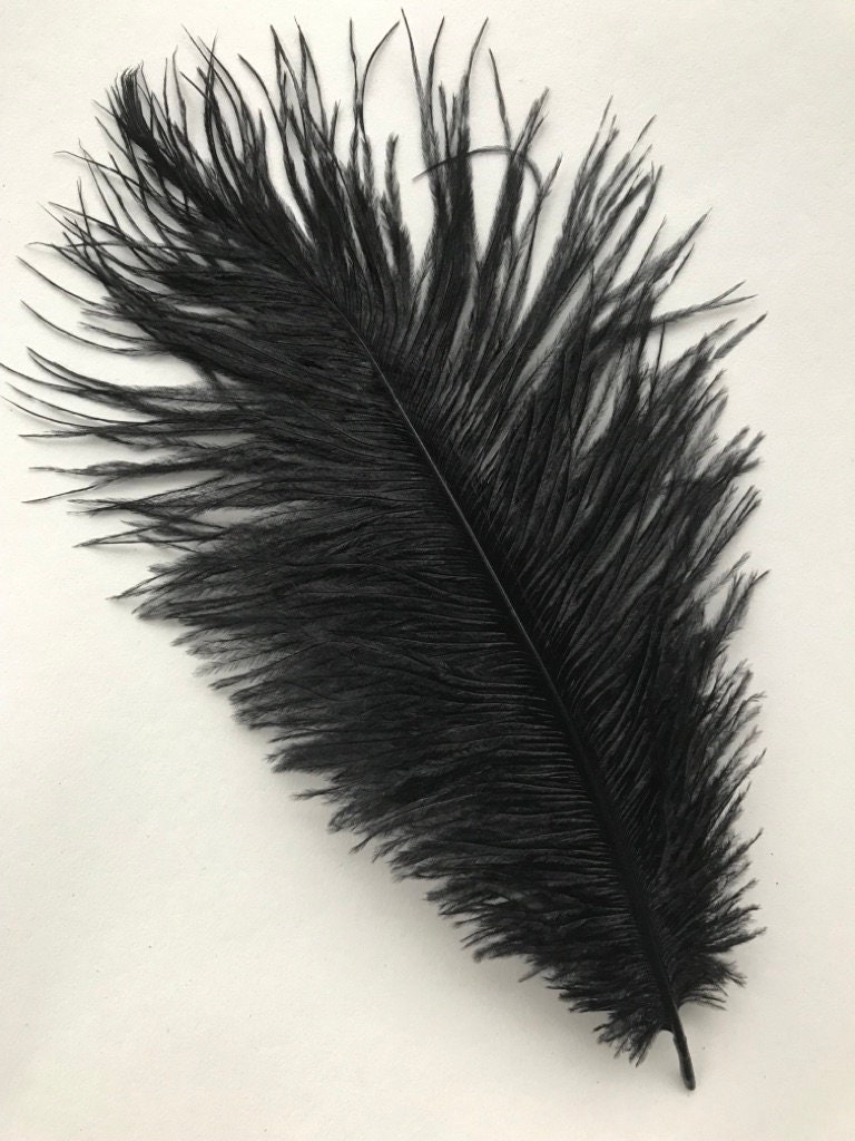 Coloured Ostrich Feather 25-30cm 10-12 mono Black | Etsy UK