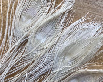 1 x  Real Peacock Feather: Cake Topper, Wedding Craft (20-25cm)