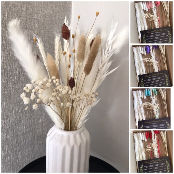 White Dried Flower & Pampas Collection | 30cm | Choice of Accent Colour | Natural | Pink | Red | Violet | Blue | Aqua |  Personalise | Gift