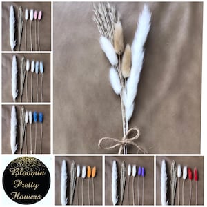 Pampas Small Bouquet | Cake Topper | 7 colours | 30cm | Dried Flower | Pampas Miscanthus Bunny-tails | UK