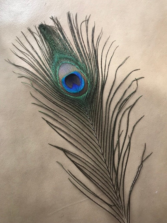 Premium Photo | Pencil sketch beautiful peacock animal drawing AI Generated