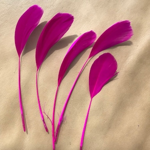 May include: Five pink feathers with white tips. The feathers are arranged in a fan shape and are lying on a light brown surface.