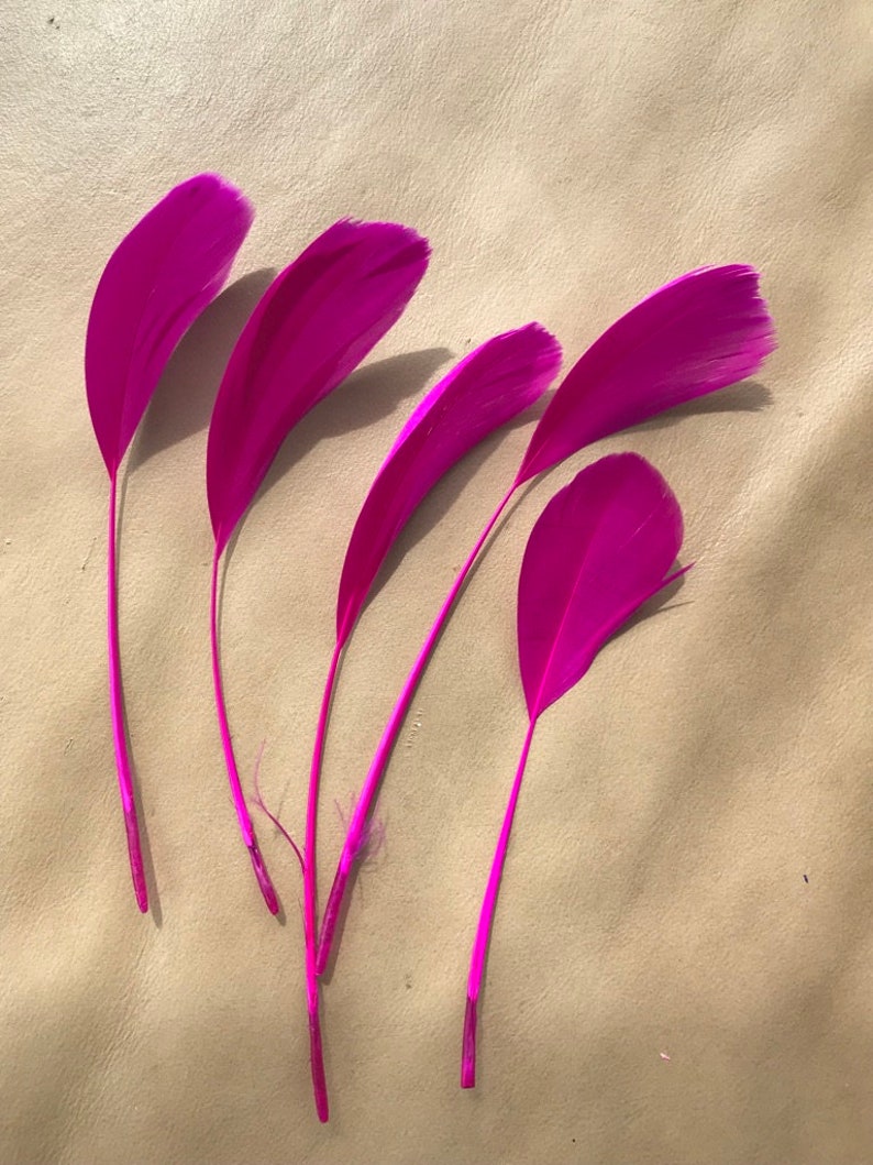 May include: Five pink feathers with white tips. The feathers are arranged in a fan shape and are lying on a light brown surface.
