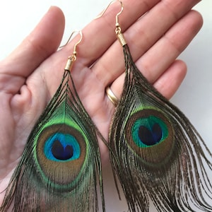 Real Peacock Feather Drop Earrings with silver or gold colour hooks  | Earring | Peacock Feather Jewellery | Bohemian Accessories | UK