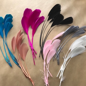 May include: Assortment of feathers in various colors, including pink, blue, black, white, and gray. The feathers are arranged in a fan shape on a brown surface.