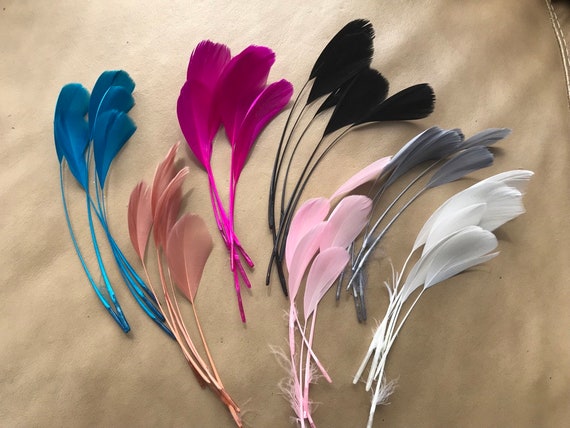 5 Coloured Stripped Coque Feathers : Stripped biot,  Millinery, Fascinator, Craft, Wedding Accessories